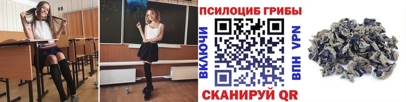 Купить где Питкяранта Галлюциногенные грибы GOLDEN TEACHER
